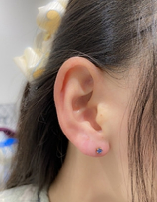 スタンダード・ロブ